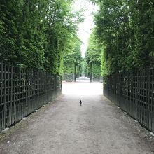 鳥さんがいました