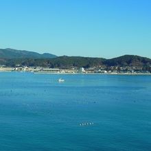 ホテル観洋から見た志津川湾