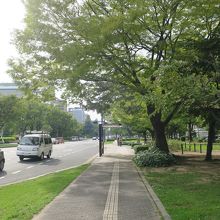 両側の街路樹が印象的