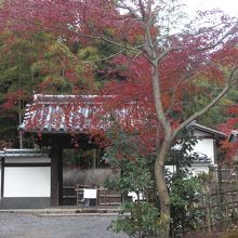 山門前の紅葉も見頃