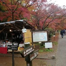 自然公園の入口には出店が並ぶ