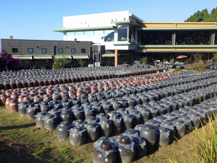ずらりと並んだ黒酢のカメはとても壮観