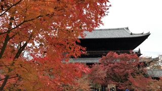 残念ながら紅葉はピークを過ぎていました