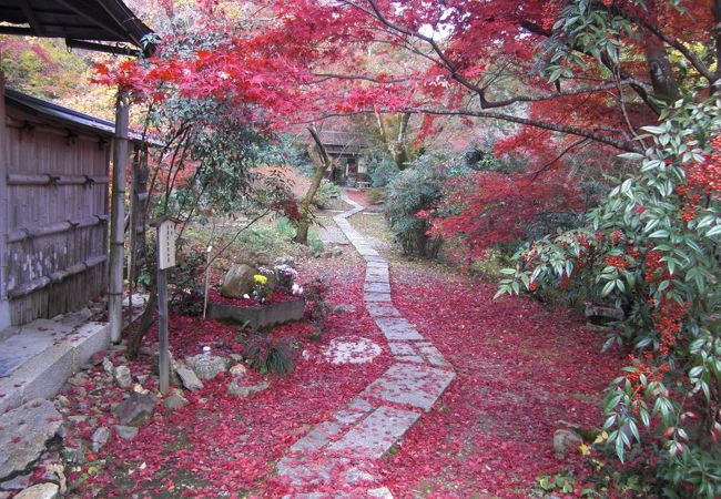 １１月下旬の直指庵は信じられない程の紅葉の素晴らしさでした！