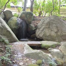裏庭の滝