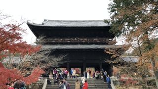 大きさに驚きます