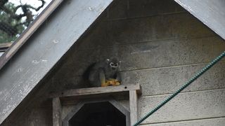 駅から歩いて行くこともできます