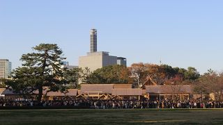 今年は大嘗殿が公開されました