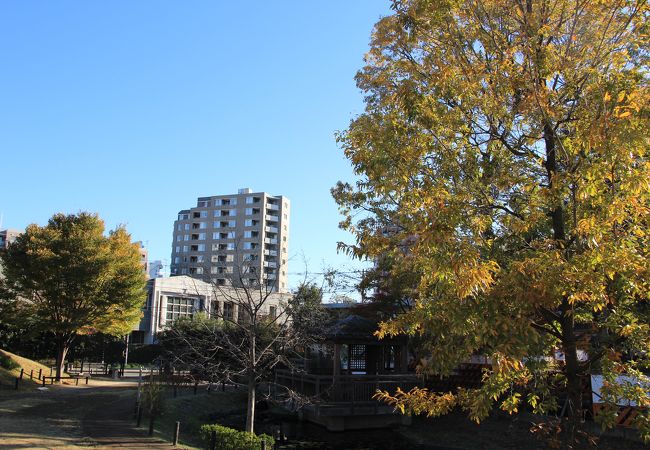 読書に適した公園