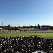 初めて競馬について行きました！