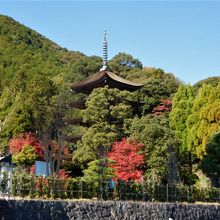駐車場近くからの眺め