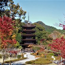 香山公園近くから
