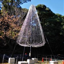 イルミネーション用