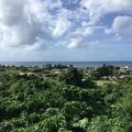 第38回NAHAマラソン