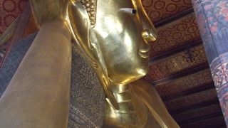 ルーシーダットンに参加