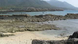 潮が引いた時に現れる潮だまり