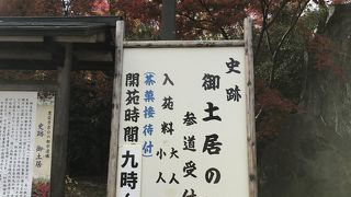 北野天満宮の紅葉は1000円なり