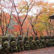 京都らしさが感じられる静かなお寺です