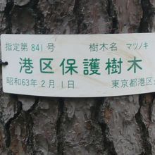 龍泉寺の境内の樹です。港区の保護樹木に指定されている樹です。