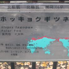 独立した舎としてこの種を飼育している動物園は案外珍しいかも？