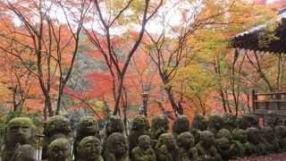 京都らしさが感じられる静かなお寺です