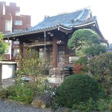 道教寺の庭園風の境内は、重厚な本堂ととてもあっています。