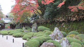 白い砂利、緑の松、色づいた紅葉、美しい庭園です