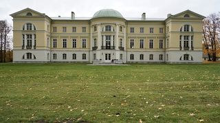 Mezotne Palace