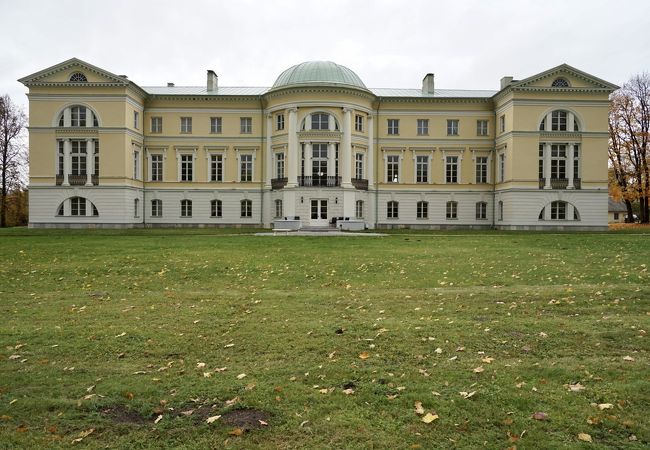 Mezotne Palace
