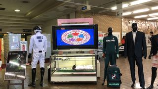 ハンガリーフェアが開かれました