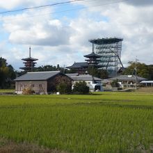 秋篠川堤より