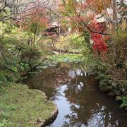 多摩丘陵の風雅な庭園