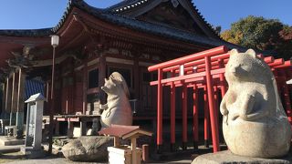 高松市内を一望