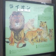 ライオンの解説板の様子