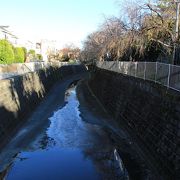 妙正寺池から流れ出る川