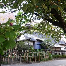 旧居の裏側は公園に面して建っている。