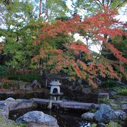 回遊式日本庭園の紅葉が綺麗