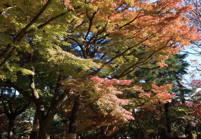都立殿ヶ谷戸庭園 クチコミ アクセス 営業時間 国分寺 小金井 フォートラベル