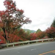 紅葉がきれいでした