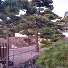 大嘗宮のある方面に向かって。