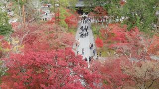 紅葉の盛りは過ぎていました