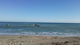 JR和田浦駅から徒歩５分程度のところにあります