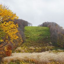 八甲田ロープウェー 山麓駅付近の紅葉