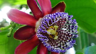 なかなか充実しています