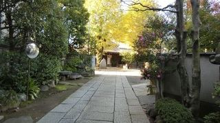 紅葉がきれいでした