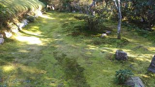 苔と紅葉が美しい回遊できる庭園