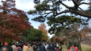 年に3回見学のチャンス