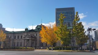 銀杏がキレイです