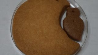 朱鷺の親子鳥サブレ　越に舞う