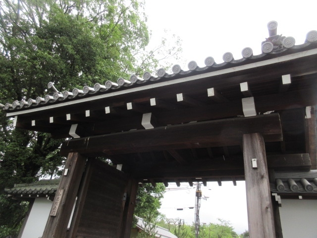 公園からはここから